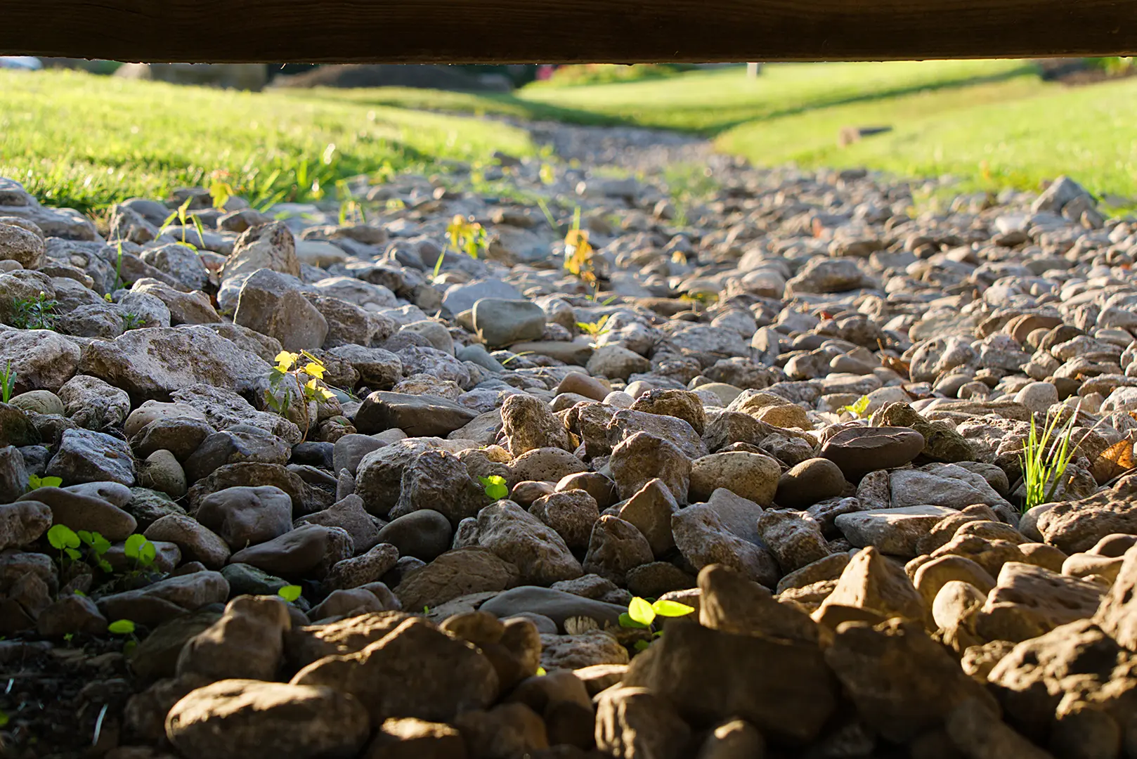 Land & Water Management Services | WDJ Tree Surgeons